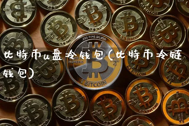 比特币 U 盘冷钱包：安全存储数字货币的理想选择